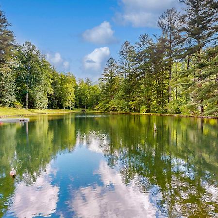 Bull Creek Peaceful Escape Villa Asheville Dış mekan fotoğraf